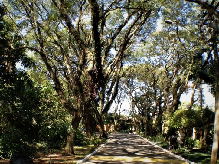 Terreno à venda - Foto 4