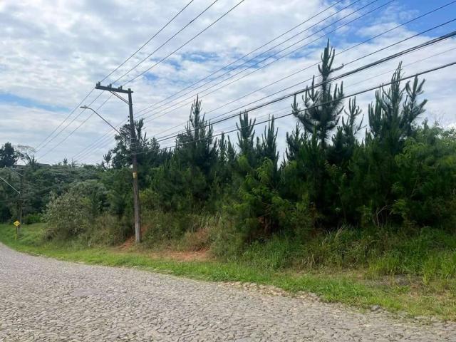 #1108 - Terreno em condomínio para Venda em Cotia - SP - 3