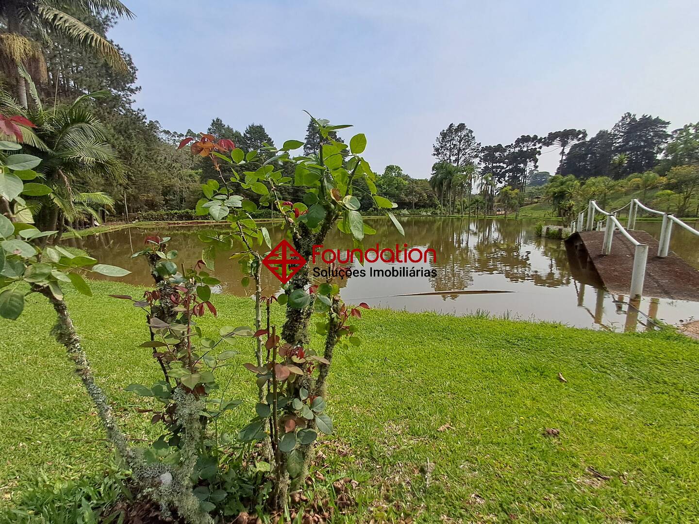 Fazenda à venda com 4 quartos, 1100m² - Foto 18